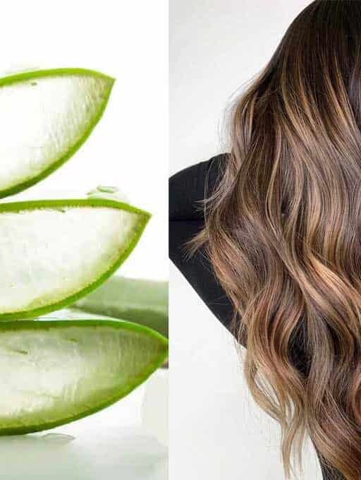Aloe Vera Gel Cheveux: Bienfaits et Utilisation
